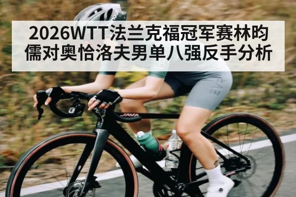 2026WTT法兰克福冠军赛林昀儒对奥恰洛夫男单八强反手分析